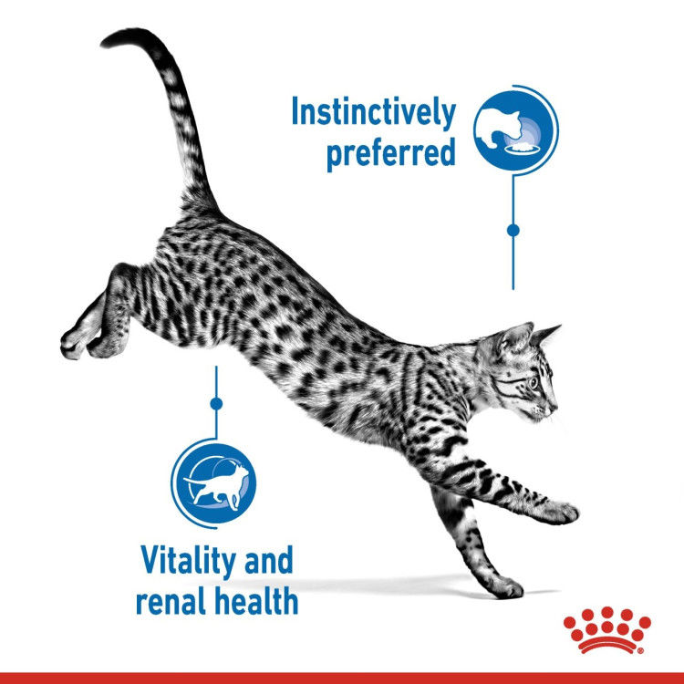 Royal Canin Indoor (Wet Food - Pouches) 12 x 85 g_thumbnail_2