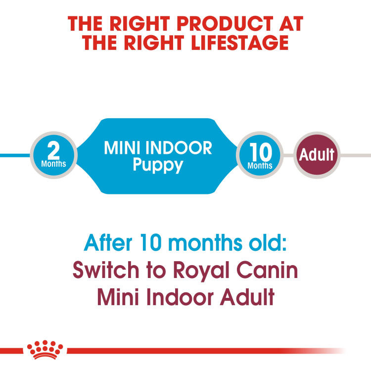 Royal Canin Mini Indoor Puppy 1.5 kg_thumbnail_5