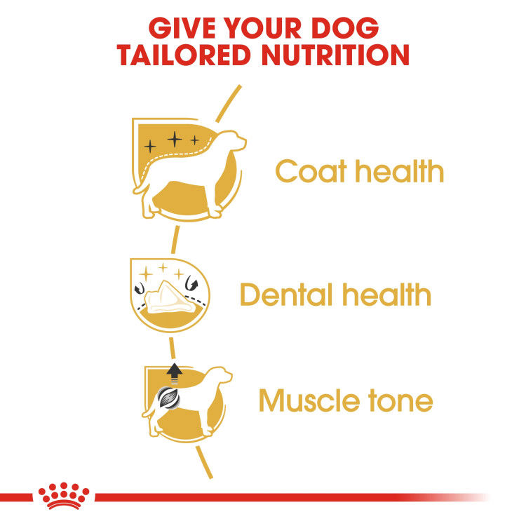 Royal Canin Poodle Adult 1.5 kg_thumbnail_1