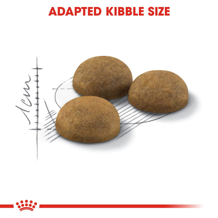 Royal Canin Indoor Long Hair 2 kg_thumbnail_3