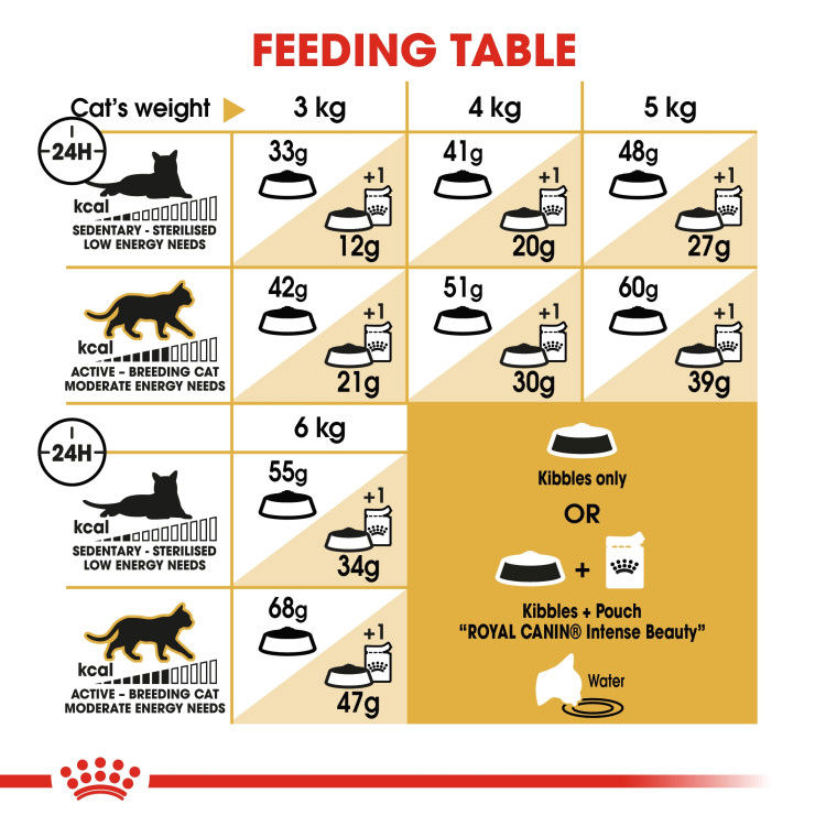 Royal Canin Siamese Adult 2 kg_thumbnail_1