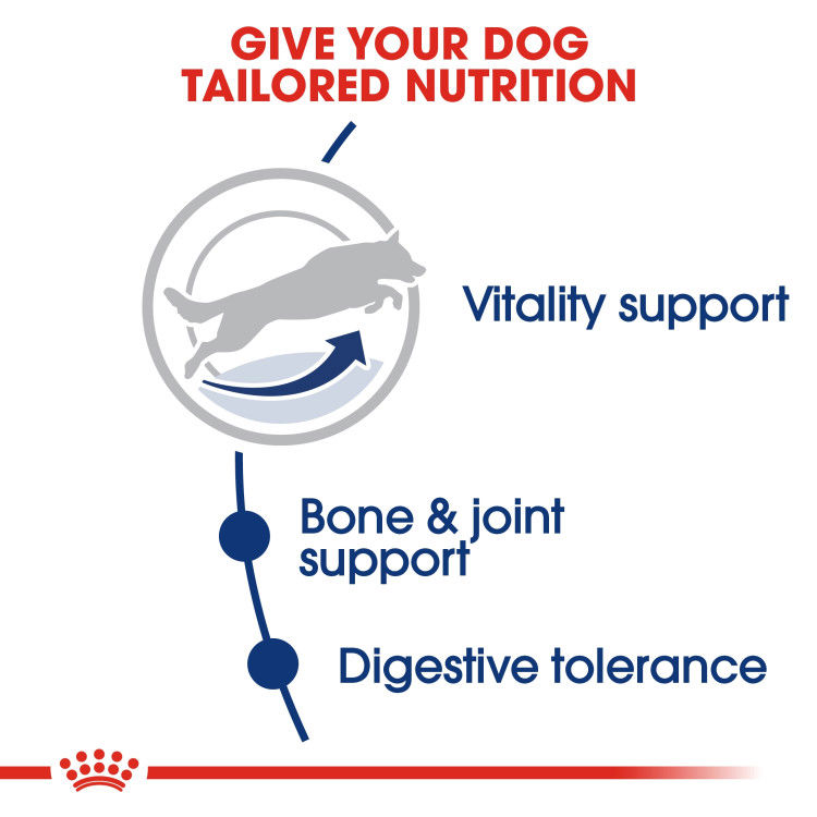 Royal Canin Maxi Adult 5+ 15 kg_thumbnail_4
