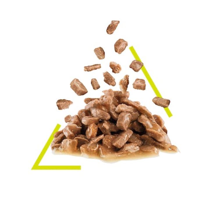 Royal Canin Sensory Smell Gravy (Wet Food - Pouches) 12 x 85 g_thumbnail_2