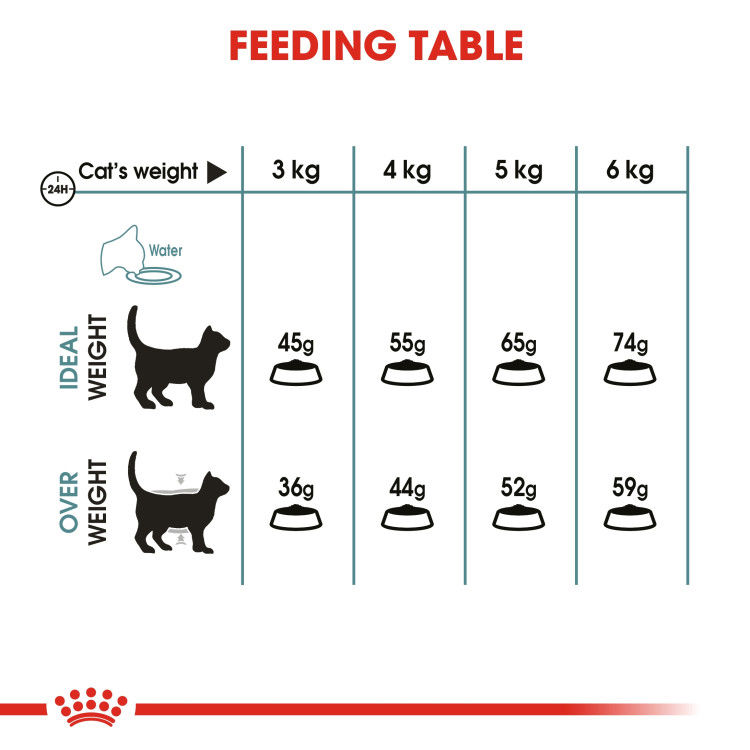 Royal Canin Hairball Care 4 kg_thumbnail_3