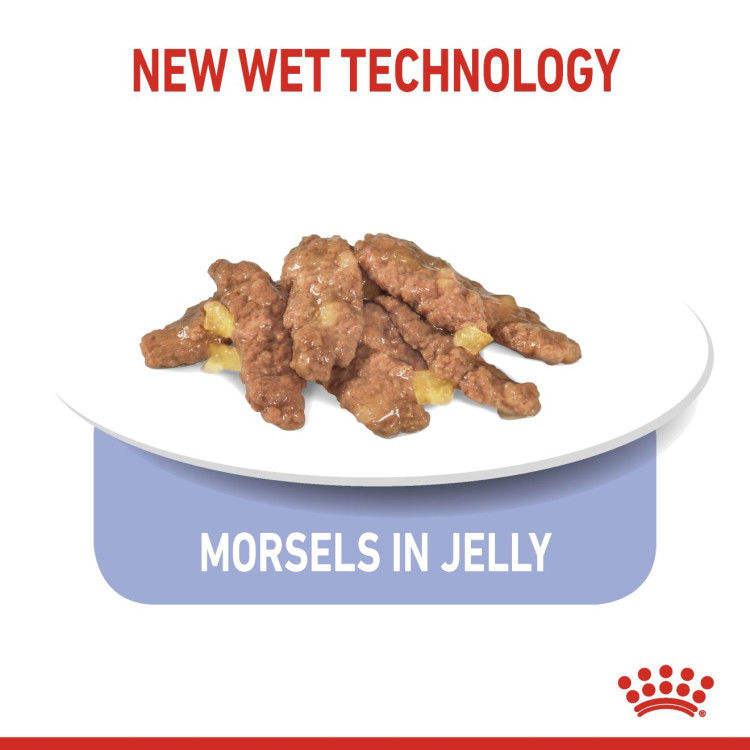 Royal Canin Indoor Jelly (Wet Food - Pouches) 12 x 85 g_thumbnail_4
