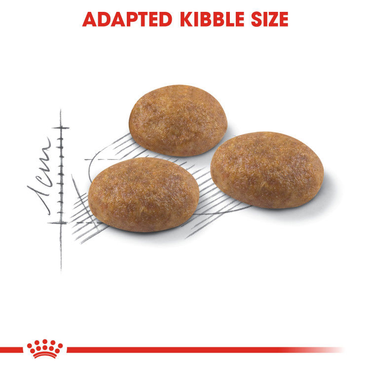 Royal Canin Outdoor 2 kg_thumbnail_4