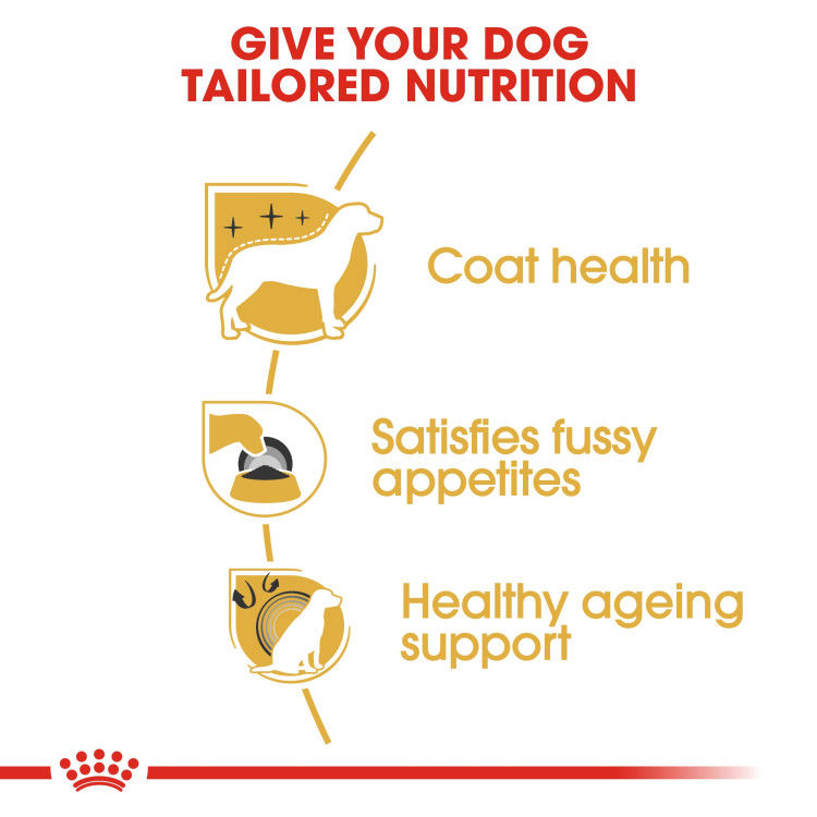 Royal Canin Yorkshire Adult 1.5 kg_thumbnail_2