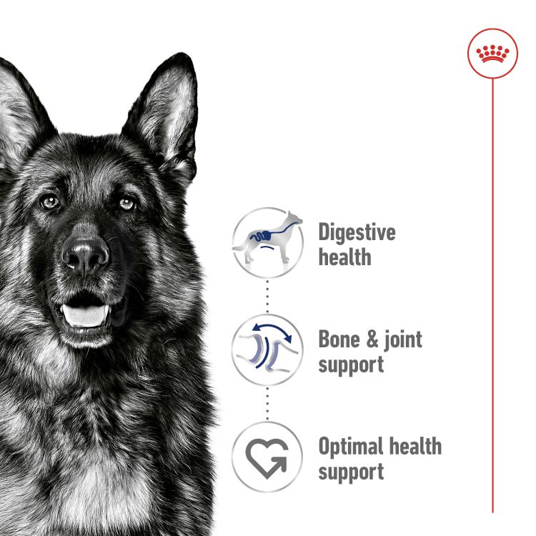 Royal Canin Maxi Adult (Wet Food - Can) 12 x 410 g_thumbnail_1