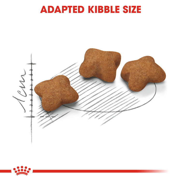 Royal Canin Kitten Sterilised 2 kg_thumbnail_4