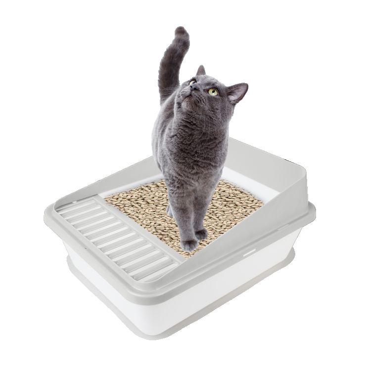 Cat Litter Box Go Fresh High Back – Large _thumbnail_3