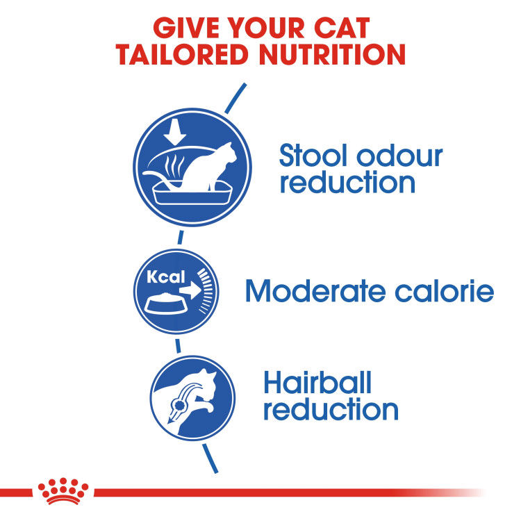 Royal Canin Indoor 4 kg_thumbnail_4