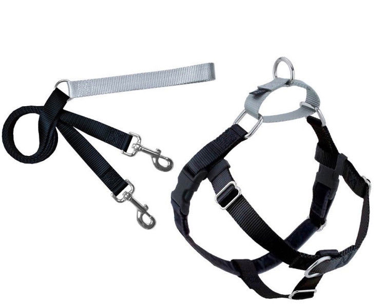 Freedom No-Pull Harness and Leash - Black / XXL 1_thumbnail_4