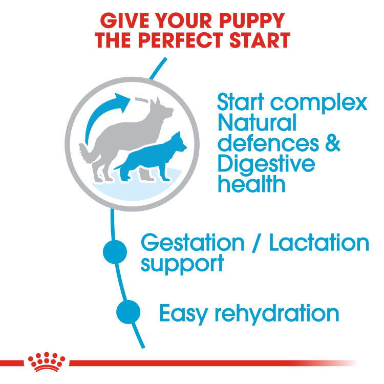Royal Canin Maxi Starter 15 Kg _thumbnail_4